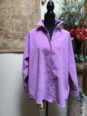 Zara Lilac Button-Down Shirt
